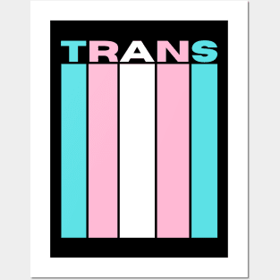 Trans Flag Posters and Art